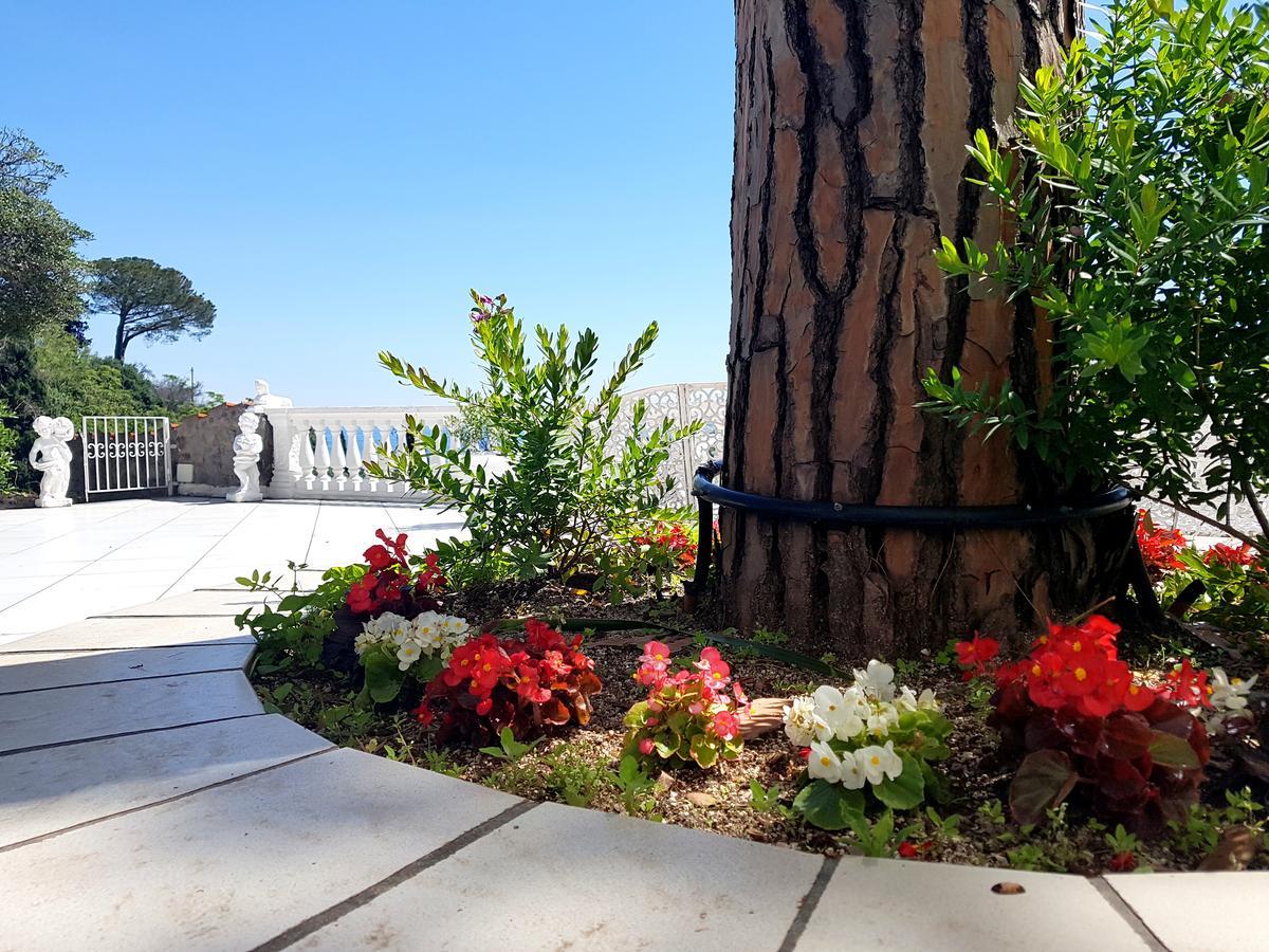Apartament Ischia Dream Visions Zewnętrze zdjęcie