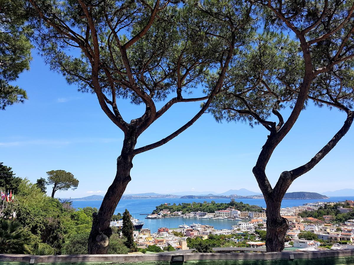 Apartament Ischia Dream Visions Zewnętrze zdjęcie