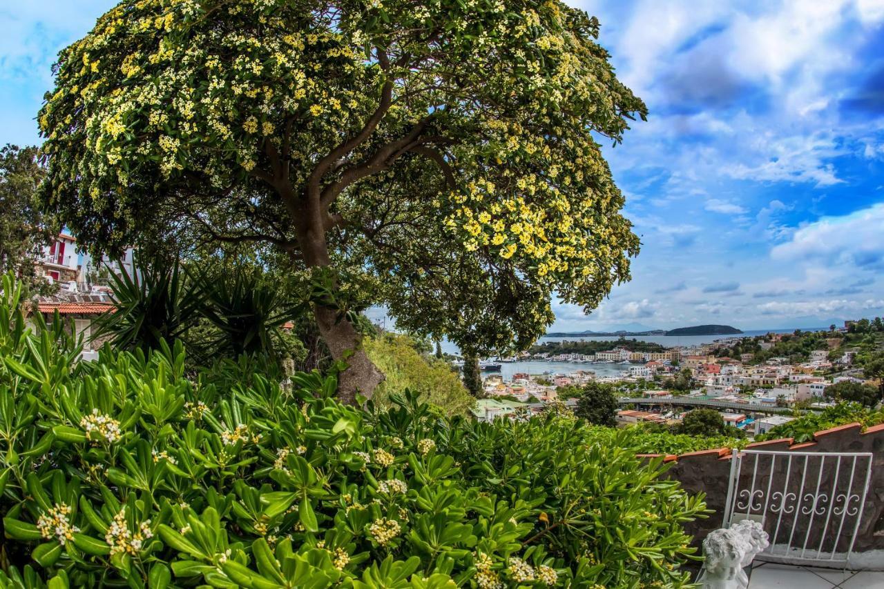 Apartament Ischia Dream Visions Zewnętrze zdjęcie