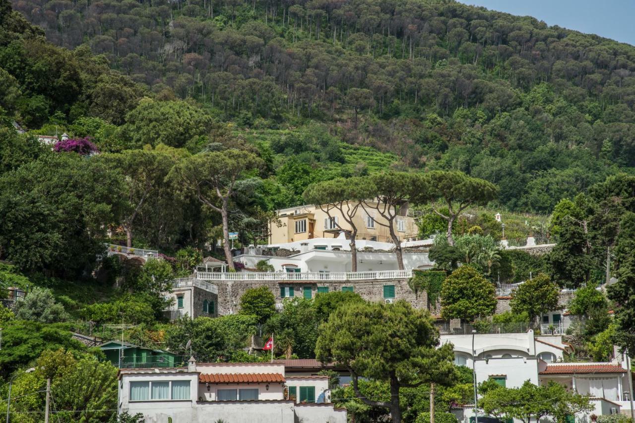 Apartament Ischia Dream Visions Zewnętrze zdjęcie